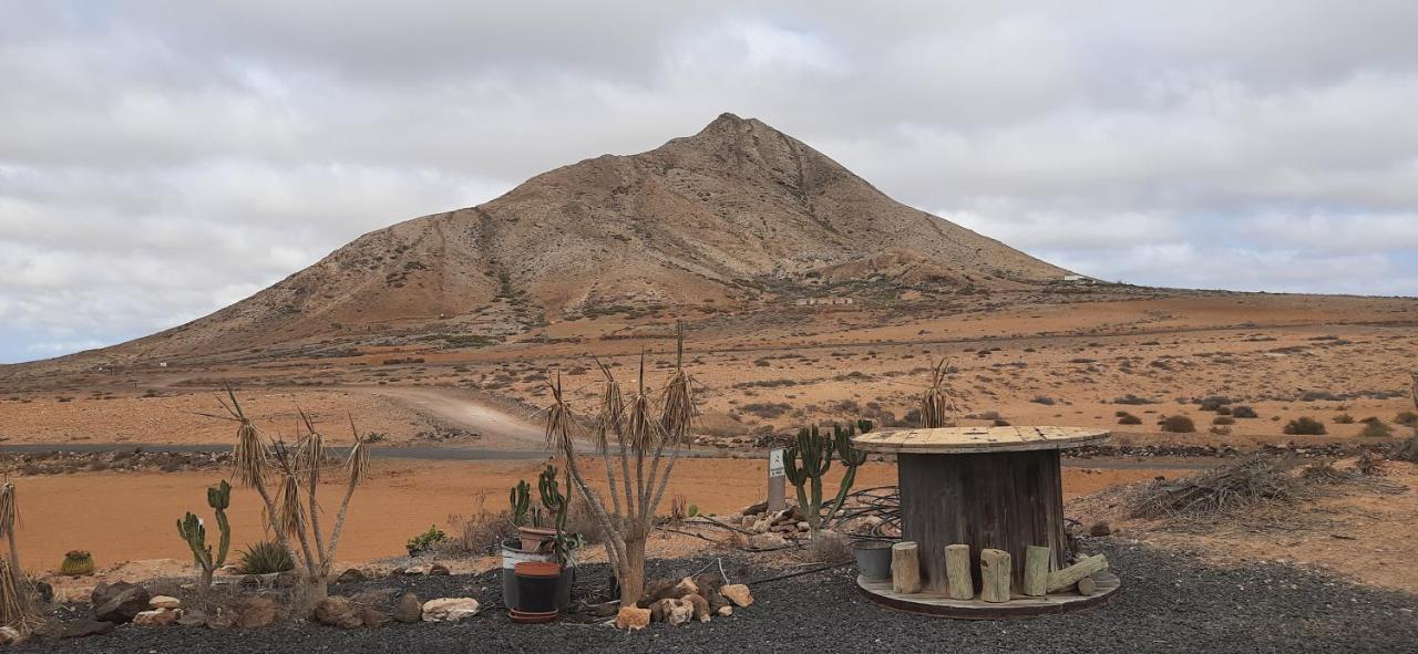 Dos Gatos Fuertaventura Βίλα Caleta De Fuste Εξωτερικό φωτογραφία