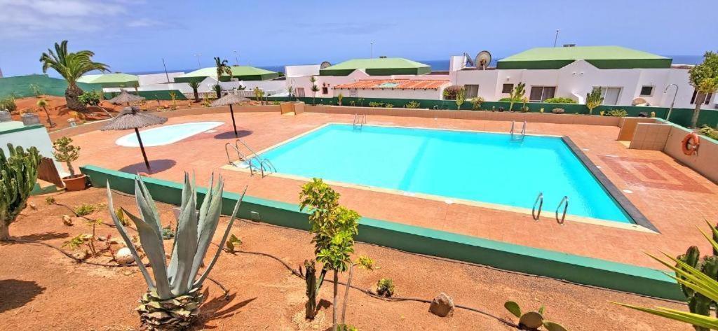 Dos Gatos Fuertaventura Βίλα Caleta De Fuste Εξωτερικό φωτογραφία