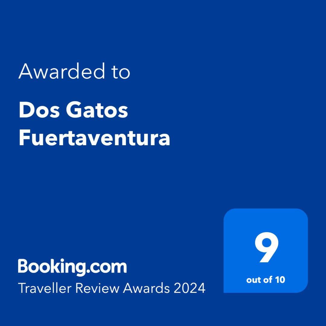 Dos Gatos Fuertaventura Βίλα Caleta De Fuste Εξωτερικό φωτογραφία